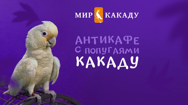 Видео